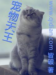 宠物天王