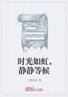 时光如虹,静静等候