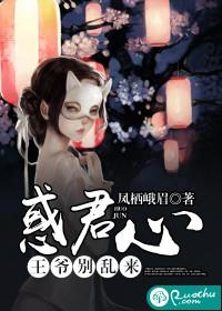 惑君心:王爷别乱来