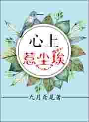 心上惹尘埃【完结】